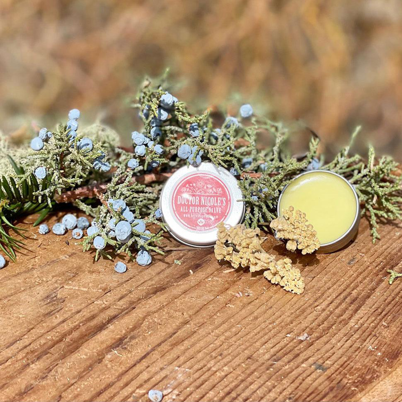 Nicole's Apothecary All Purpose Salve