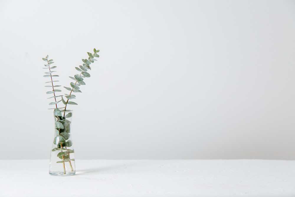 eucalyptus leaves in a vase